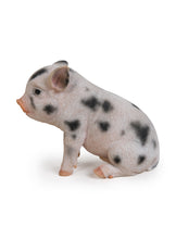 Load image into Gallery viewer, Sitting Baby Pig W/Black Spots
