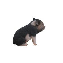 Load image into Gallery viewer, Sitting Baby Dark Brown

