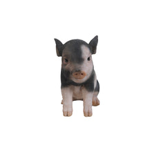 Load image into Gallery viewer, Sitting Baby Dark Brown
