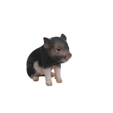 Load image into Gallery viewer, Sitting Baby Dark Brown
