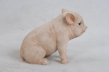 Load image into Gallery viewer, Sitting Baby Pig
