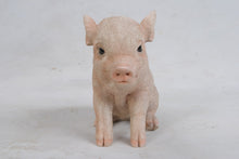 Load image into Gallery viewer, Sitting Baby Pig
