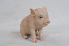 Load image into Gallery viewer, Sitting Baby Pig
