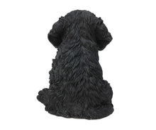 Load image into Gallery viewer, Cockapoo Puppy Statue
