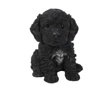 Load image into Gallery viewer, Cockapoo Puppy Statue
