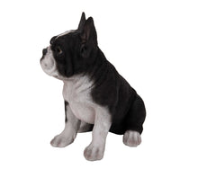 Load image into Gallery viewer, French Bulldog Puppy Statue
