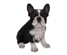 Load image into Gallery viewer, French Bulldog Puppy Statue
