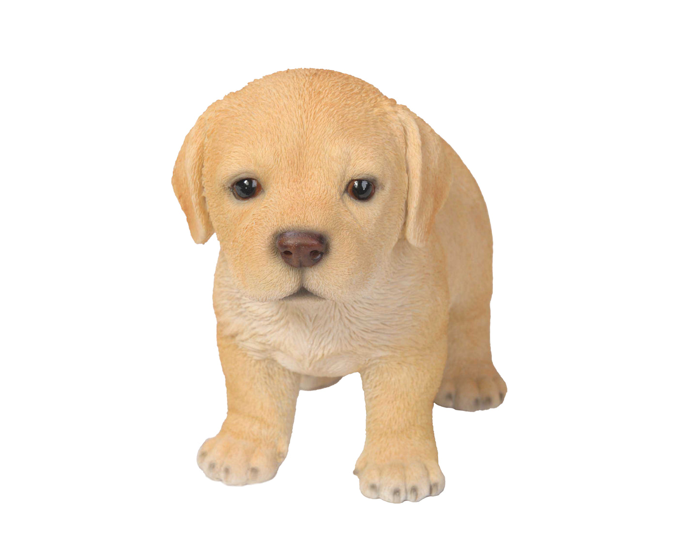 Yellow Standing Labrador Puppy Statue