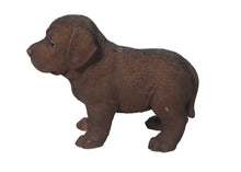 Load image into Gallery viewer, Chocolate Standing Labrador Puppy Statue
