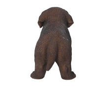 Load image into Gallery viewer, Chocolate Standing Labrador Puppy Statue
