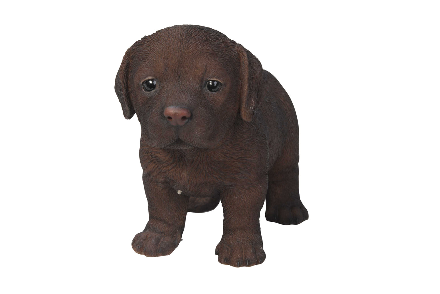 Chocolate Standing Labrador Puppy Statue
