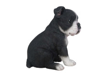 Load image into Gallery viewer, Boston Terrier Puppy Statue
