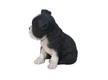 Load image into Gallery viewer, Boston Terrier Puppy Statue
