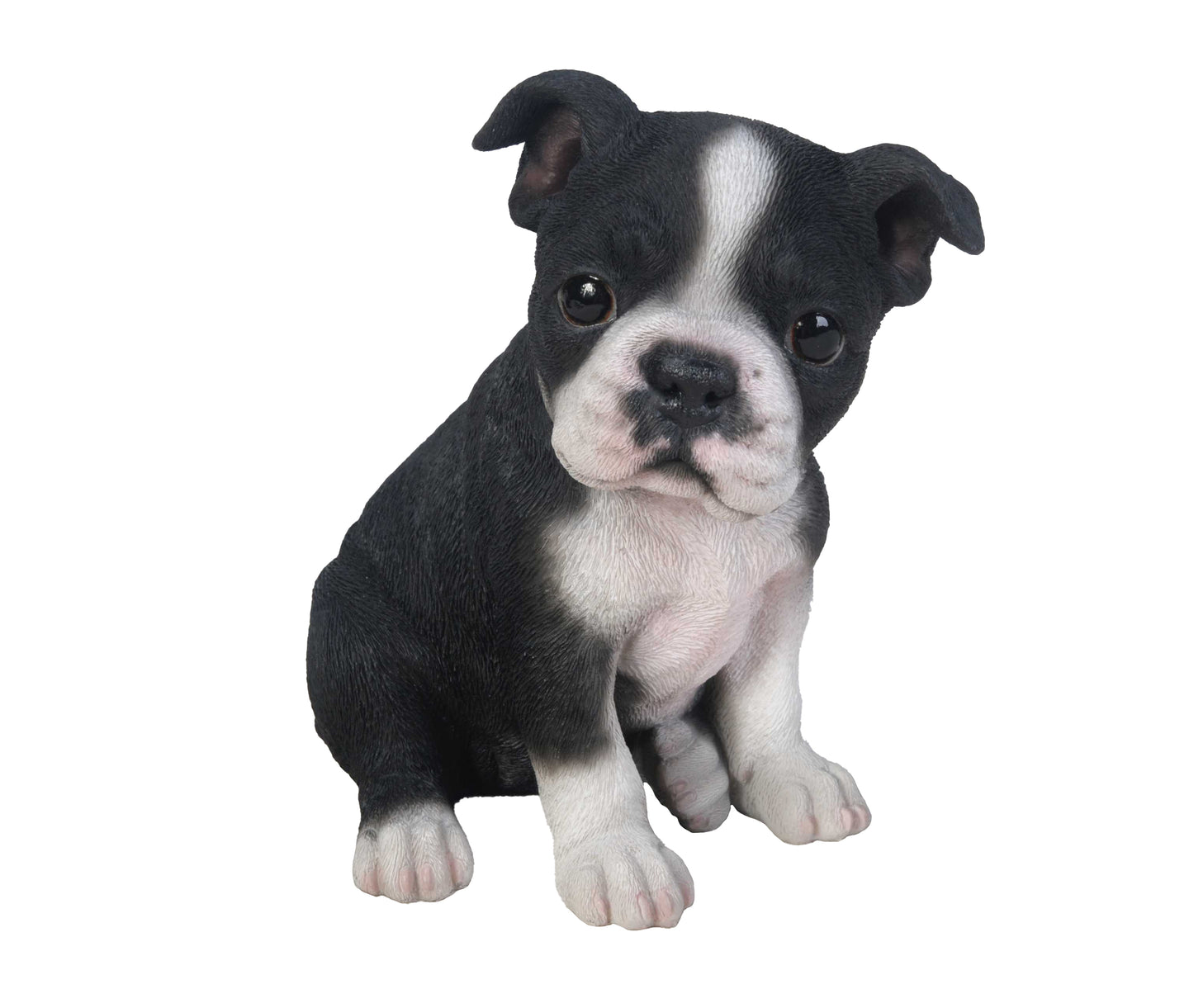 Boston Terrier Puppy Statue