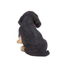 Load image into Gallery viewer, Dachshund Puppy Statue
