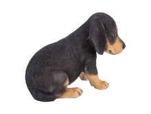 Load image into Gallery viewer, Dachshund Puppy Statue
