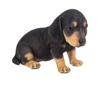 Load image into Gallery viewer, Dachshund Puppy Statue

