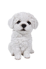 Load image into Gallery viewer, Maltese Puppy Statue
