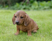 Load image into Gallery viewer, Brown Dachshund Sitting Statue
