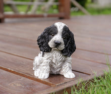 Load image into Gallery viewer, Black &amp; White Cocker Spaniel Statue
