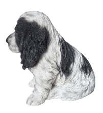 Load image into Gallery viewer, Black &amp; White Cocker Spaniel Statue
