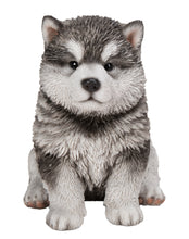Load image into Gallery viewer, Malamute Puppy Sitting Statue
