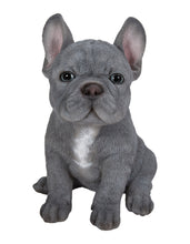 Load image into Gallery viewer, Blue French Bulldog Puppy Sitting Statue

