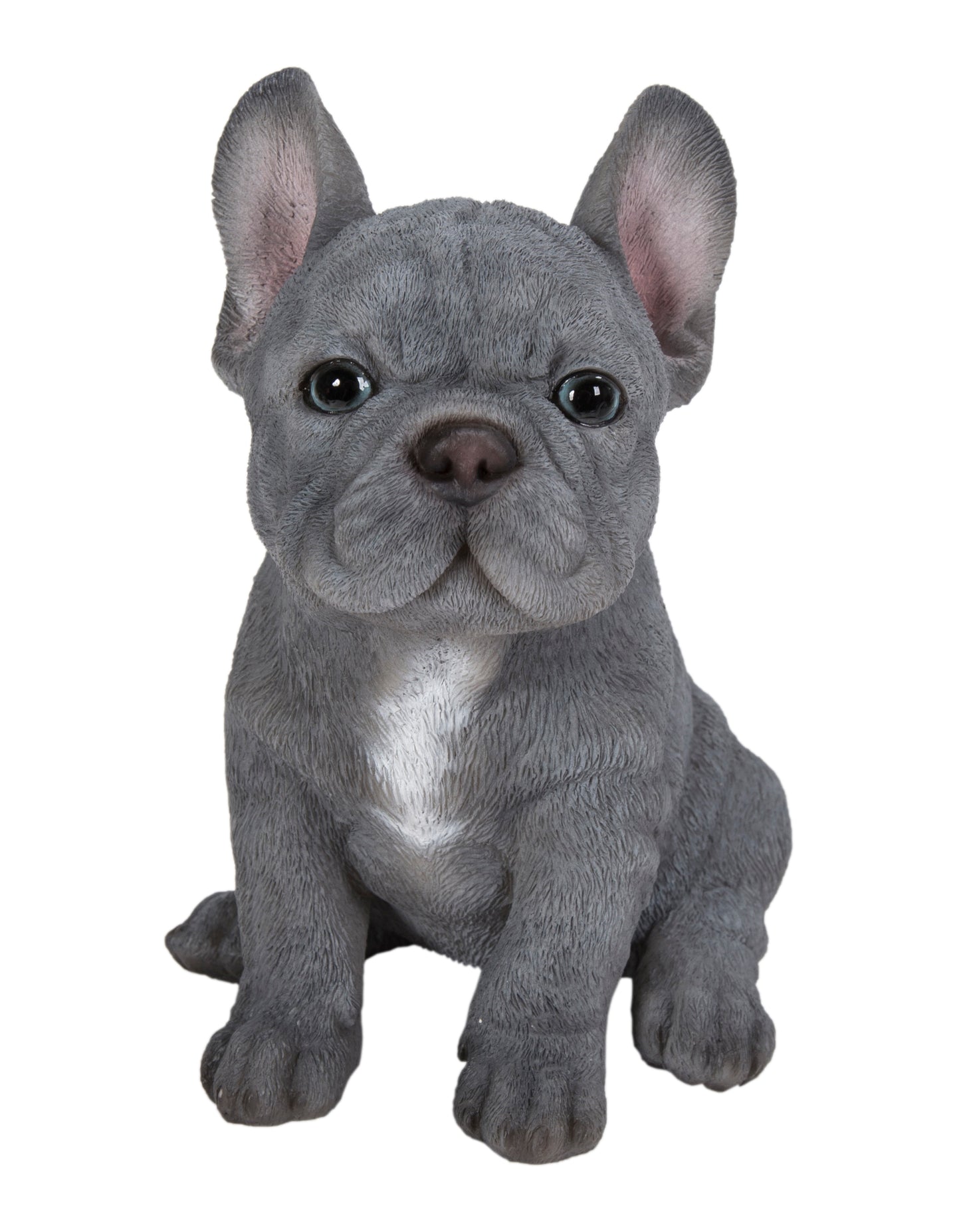 Blue French Bulldog Puppy Sitting Statue