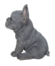 Load image into Gallery viewer, Blue French Bulldog Puppy Sitting Statue
