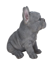 Load image into Gallery viewer, Blue French Bulldog Puppy Sitting Statue
