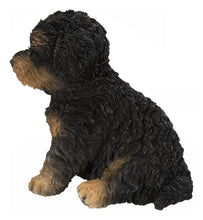 Load image into Gallery viewer, Baby Cavapoo Black &amp; Tan

