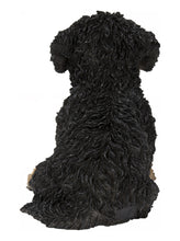 Load image into Gallery viewer, Baby Cavapoo Black &amp; Tan
