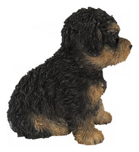 Load image into Gallery viewer, Baby Cavapoo Black &amp; Tan
