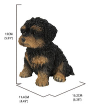 Load image into Gallery viewer, Baby Cavapoo Black &amp; Tan
