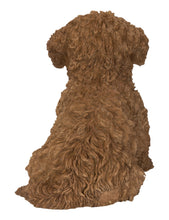 Load image into Gallery viewer, Baby Cavapoo Chocolate
