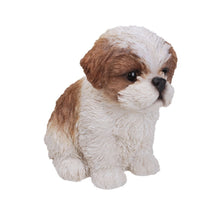 Load image into Gallery viewer, Brown &amp; White Shih Tzu Puppy
