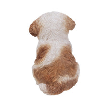 Load image into Gallery viewer, Brown &amp; White Shih Tzu Puppy

