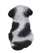 Load image into Gallery viewer, Black &amp; White Shih Tzu Puppy
