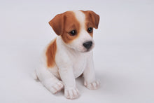 Load image into Gallery viewer, Jack Russell Terrier Puppy
