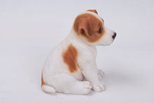 Load image into Gallery viewer, Jack Russell Terrier Puppy
