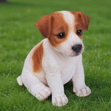 Load image into Gallery viewer, Jack Russell Terrier Puppy
