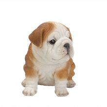 Load image into Gallery viewer, Bulldog Puppy
