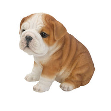 Load image into Gallery viewer, Bulldog Puppy
