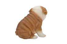 Load image into Gallery viewer, Bulldog Puppy
