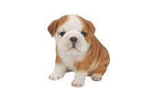Load image into Gallery viewer, Bulldog Puppy
