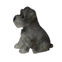 Load image into Gallery viewer, Schnauzer Puppy
