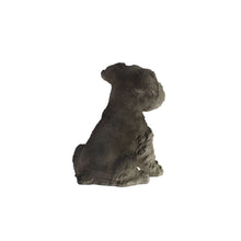 Load image into Gallery viewer, Schnauzer Puppy

