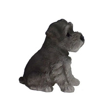 Load image into Gallery viewer, Schnauzer Puppy
