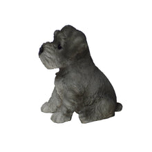 Load image into Gallery viewer, Schnauzer Puppy
