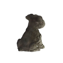 Load image into Gallery viewer, Schnauzer Puppy
